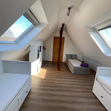 Pottenhauser 別荘 *